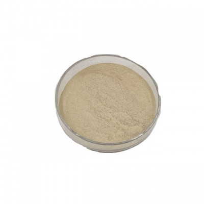 Powder Protease Enzyme As Bakery Ingredients